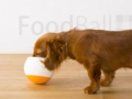 foodball_251_weblogo.jpg